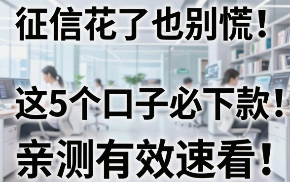 征信花了也别慌!这5个口子必下款,亲测有效速看