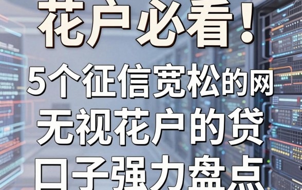 花户必看！5个征信宽松的网贷无视花户的口子强力盘点