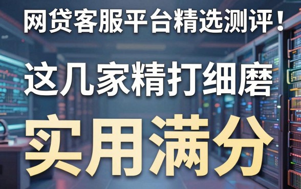 网贷客服平台精选测评：这几家精打细磨，实用满分！