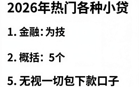 2026年热门各种小贷,概括5个无视一切包下款口子