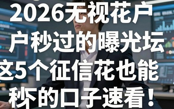 2026无视花户户秒过的网贷论坛曝光！这5个征信花也能秒下的口子速看