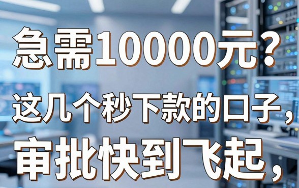 急需10000元？这几个秒下款的口子，审批快到飞起！