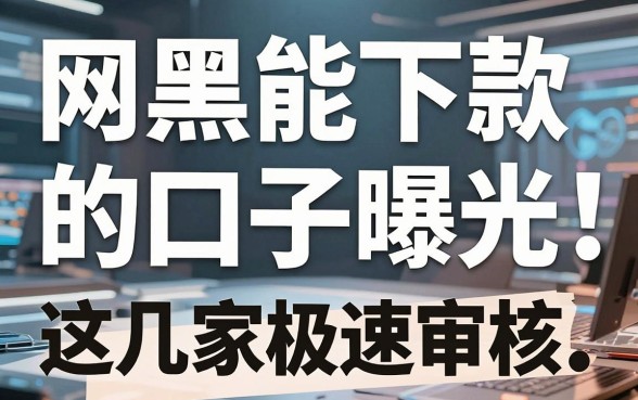 网黑能下款的口子曝光！这几家极速审核APP黑马藏不住了