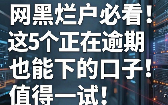 网黑烂户必看!这5个正在逾期也能下的口子,值得一试!