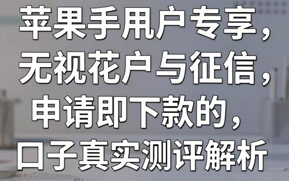 苹果手机用户专享:无视花户与征信,申请即下款的口子真实测评解析