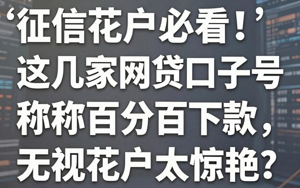 “征信花户必看!这几家网贷口子号称百分百下款,无视花户太惊艳”