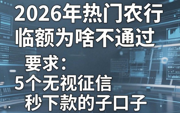 2026年热门农行临额为啥不通过，归纳5个无视征信秒下款的口子