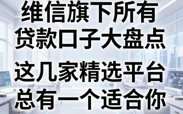 维信旗下所有贷款口子大盘点,这几家精选平台总有一个适合你!