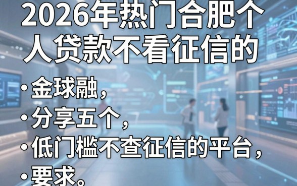 2026年热门合肥个人贷款不看征信的,分享五个低门槛不查征信的平台
