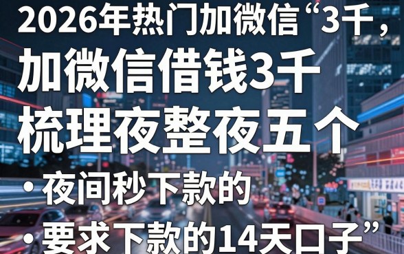 2026年热门加微信借钱3千,梳理五个夜间秒下款的14天口子