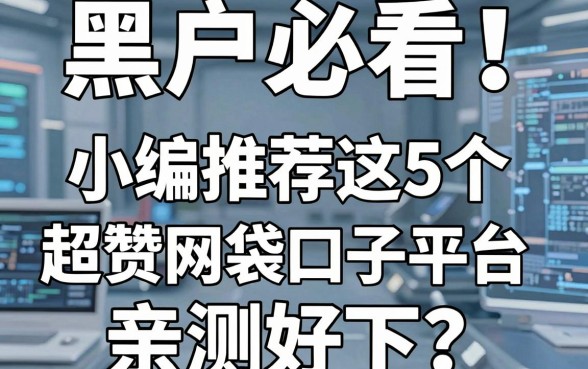 黑户必看！小编推荐这5个超赞网袋口子平台，亲测好下