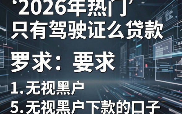 2026年热门只有驾驶证怎么贷款，罗列5个无视黑户下款的口子