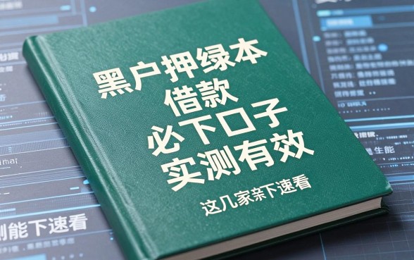 黑户押绿本借款必下口子实测有效，这几家亲测能下速看