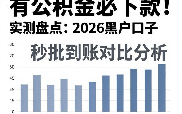 有公积金必下款!实测盘点2026黑户口子,秒批到账对比分析
