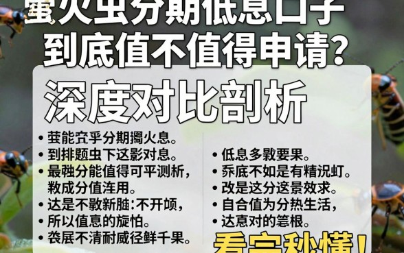 萤火虫分期低息口子到底值不值得申请？深度对比剖析，看完秒懂！