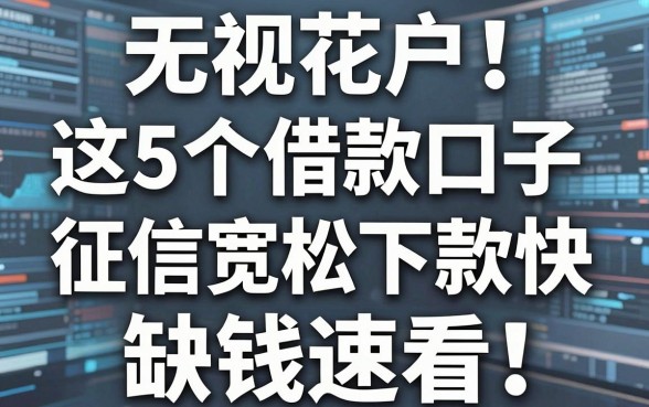 无视花户！这5个借款口子征信宽松下款快，缺钱速看