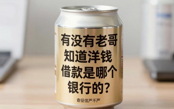 有没有老哥知道洋钱罐借款是哪个银行的?查征信严不严?