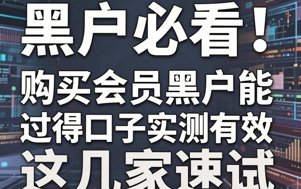 黑户必看！购买会员黑户能过得口子实测有效，这几家速试