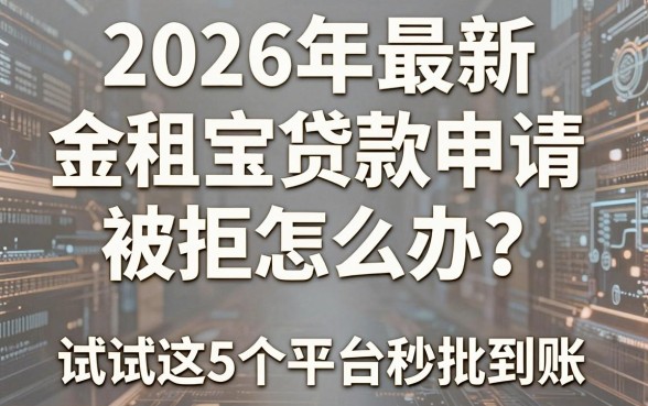 2026年最新金租宝贷款申请被拒怎么办?试试这5个平台秒批到账!