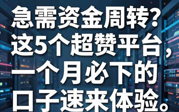 急需资金周转？这5个超赞平台，一个月必下的口子速来体验！