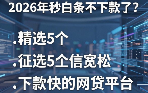 2026年秒白条不下款了？精选5个征信宽松、下款快的网贷平台！