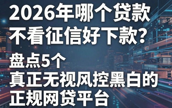 2026年哪个贷款不看征信好下款？盘点5个真正无视风控黑白的正规网贷平台