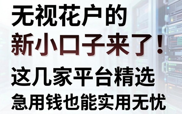 无视花户的新小口子来了！这几家平台精选，急用钱也能实用无忧