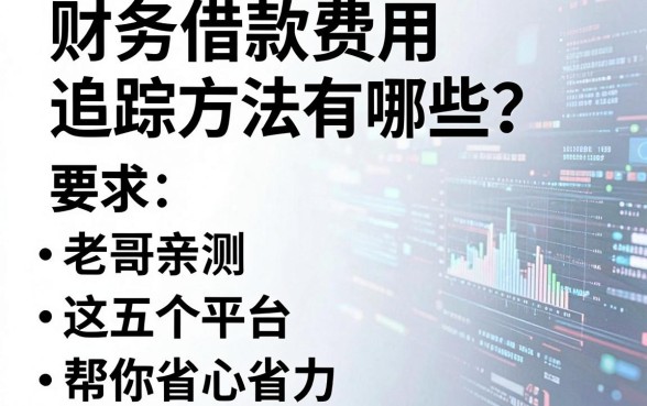 财务借款费用追踪方法有哪些?老哥亲测这五个平台帮你省心省力