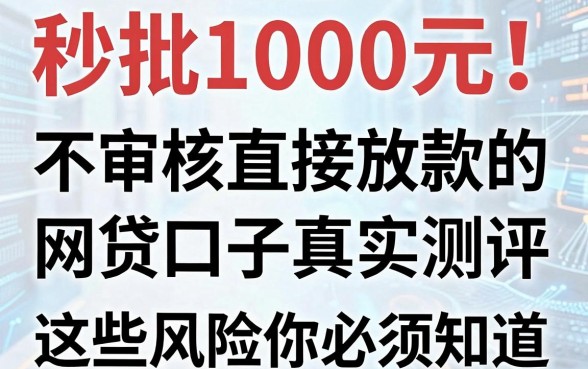 秒批1000元！不审核直接放款的网贷口子真实测评，这些风险你必须知道