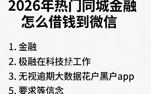 2026年热门同城金融怎么借钱到微信，概括五个无视逾期大数据花户黑户app