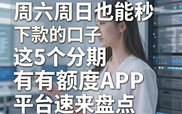 周六周日也能秒下款的口子，这5个分期有额度APP平台速来盘点！