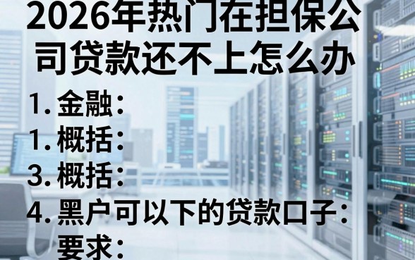 2026年热门在担保公司贷款还不上怎么办，概括五个黑户可以下的贷款口子