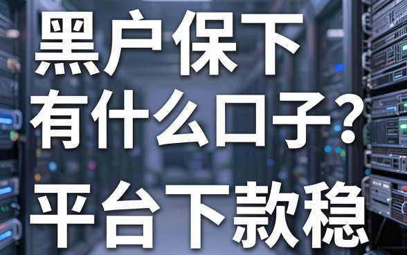 黑户保下有什么口子？实测这几家平台下款稳！