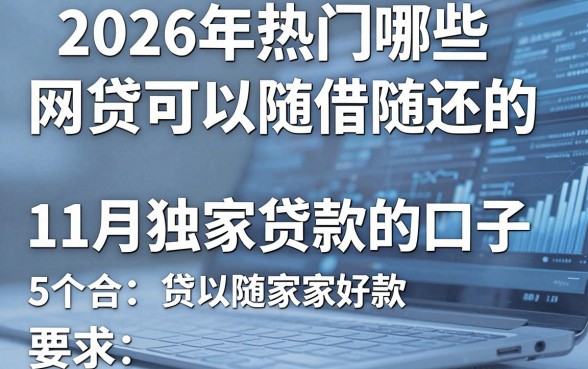 2026年热门哪些网贷可以随借随还的,整合5个11月独家贷款的口子