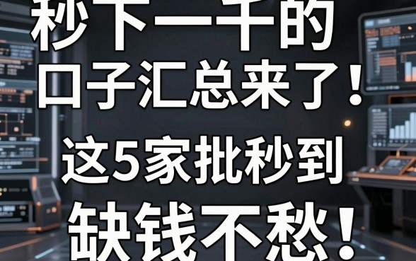 秒下一千的口子汇总来了！这5家平台秒批秒到，缺钱不愁！