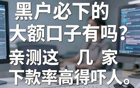 黑户必下的大额口子有吗?亲测这几家下款率高得吓人!