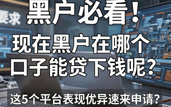 黑户必看！现在黑户在哪个口子能贷下钱呢？这5个平台表现优异速来申请