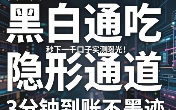 秒下一千的黑户口子实测曝光！黑白通吃的隐形通道，3分钟到账不墨迹