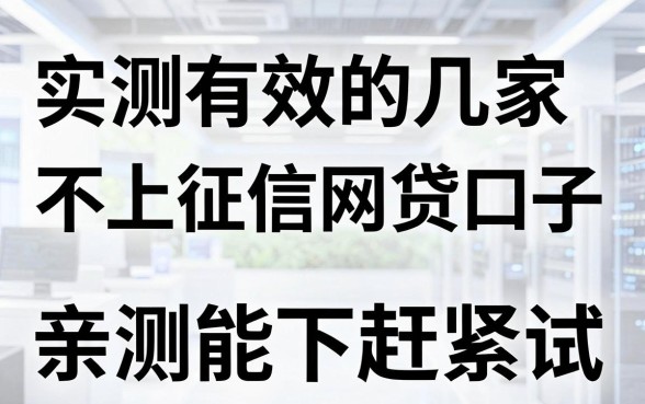 实测有效的几家不上征信网贷口子，亲测能下赶紧试！