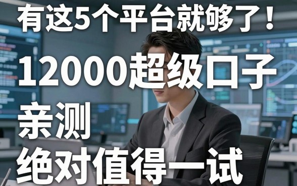 有这5个平台就够了！12000超级口子，亲测绝对值得一试！