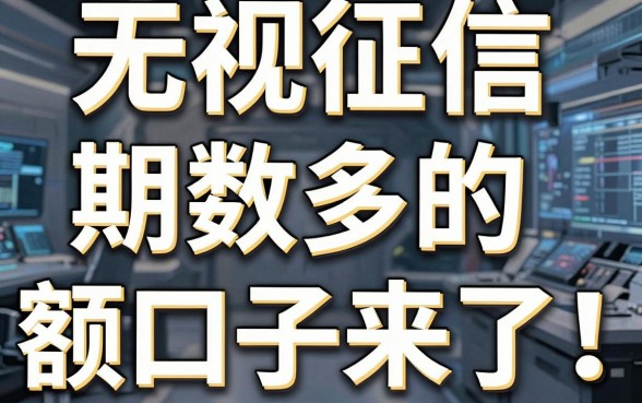 无视征信、期数多的大额口子来了!这几家平台下款简直太稳了