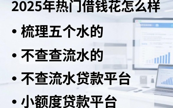 2025年热门借钱花怎么样，梳理五个不查流水的小额度贷款平台