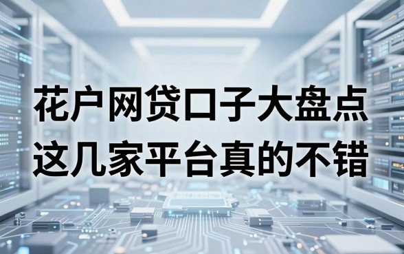 花户网贷口子大盘点，这几家平台真的不错！