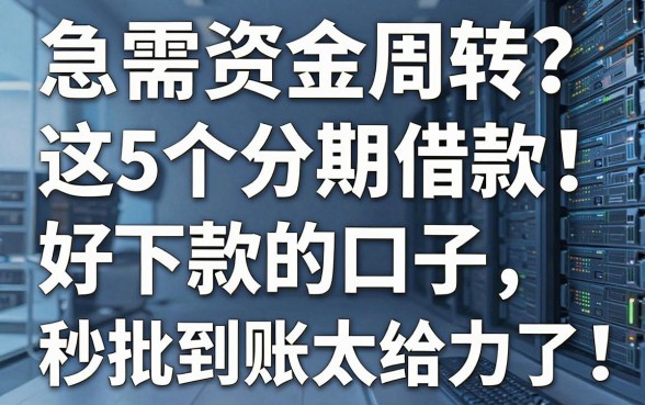 急需资金周转?这5个分期借款好下款的口子,秒批到账太给力了!