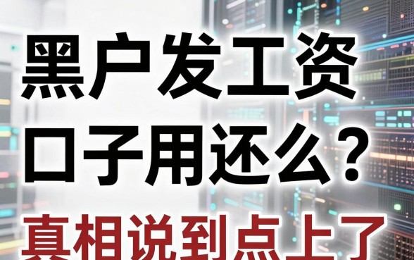 黑户发工资口子用还么?独家拆解对比,真相说到点上了!