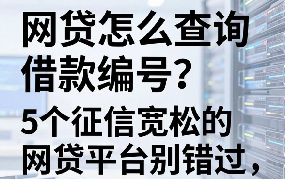 网贷怎么查询借款编号？这5个征信宽松的网贷平台别错过！