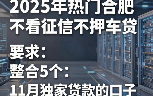 2025年热门合肥不看征信不押车贷,整合5个11月独家贷款的口子