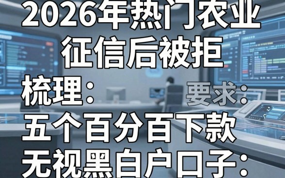 2026年热门农业征信后被拒,梳理五个百分百下款无视黑白户口子