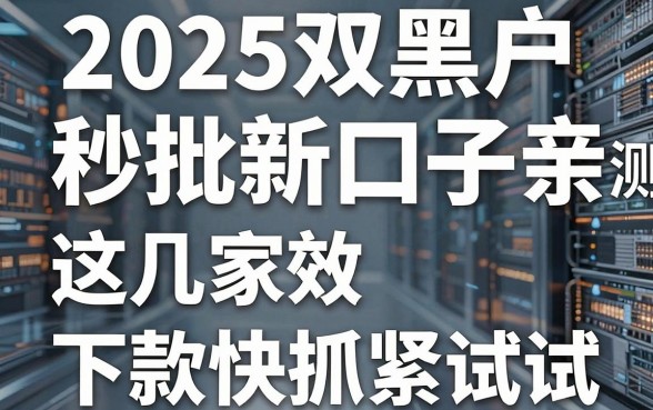 2025双黑户秒批新口子亲测有效，这几家下款快抓紧试试