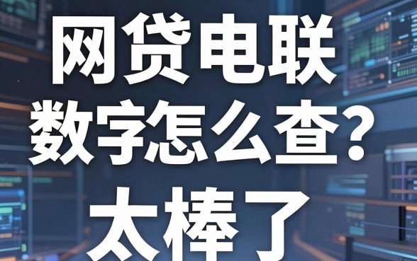 网贷电联数字怎么查？这几家平台查得又快又准，太棒了！